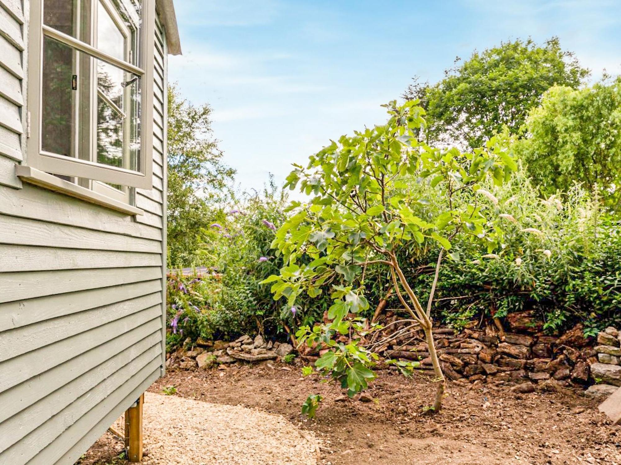 ברידפורט Fig Tree Shepherds Hut מראה חיצוני תמונה